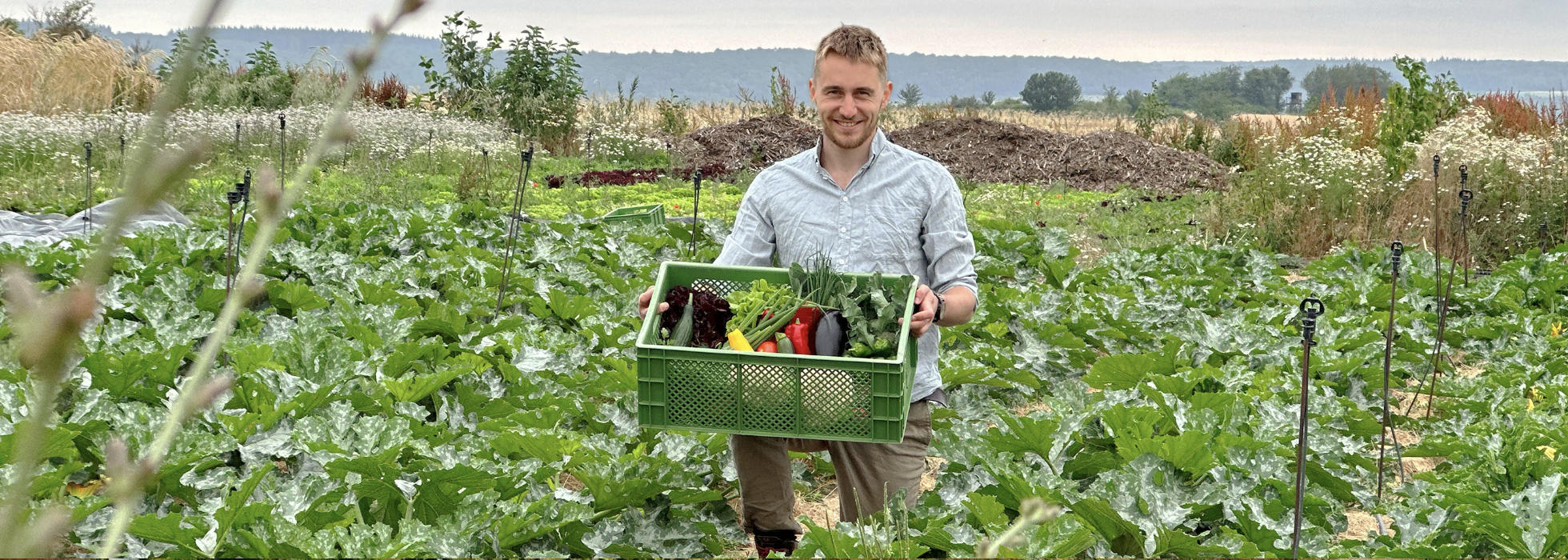 Gemüsekisten zum Liefern nach Bad Kreuznach, Wiesbaden, Alzey, Bingen am Rhein