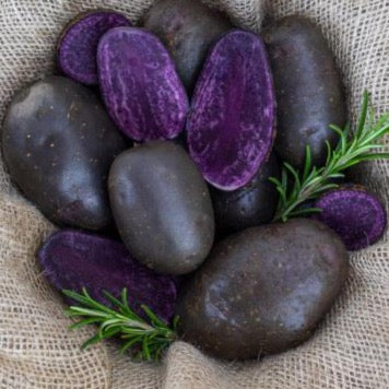 Kartoffeln neue Ernte - violett